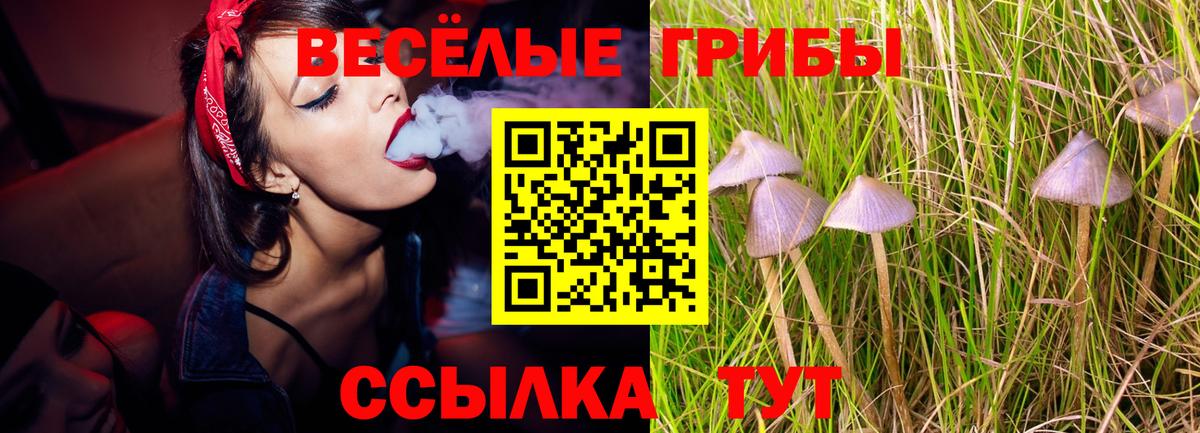 Псилоцибиновые грибы прущие грибы  Вход с VPN  Мариинск  Галлюциногенные грибы Magic Shrooms 
