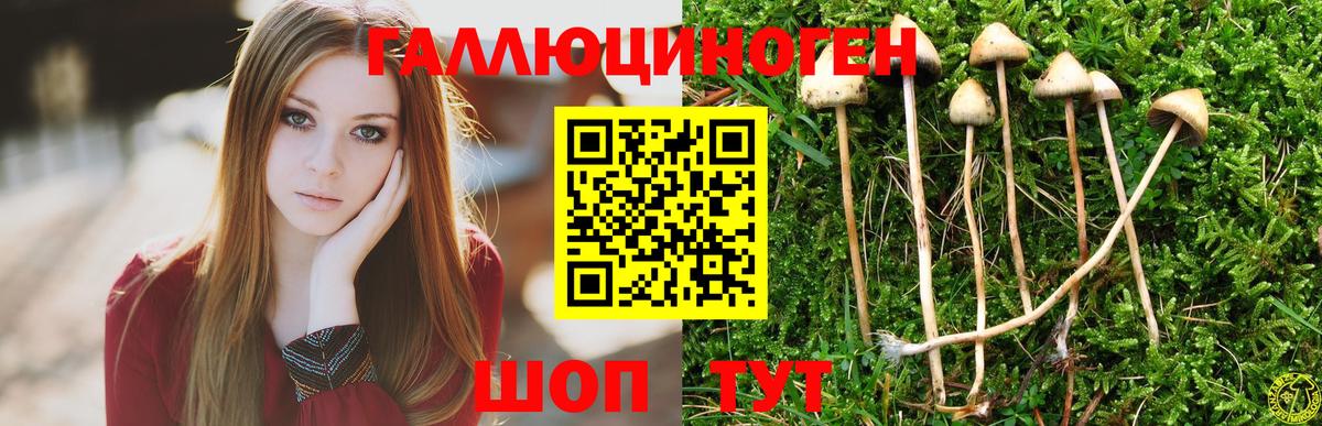 Псилоцибиновые грибы прущие грибы Мариинск